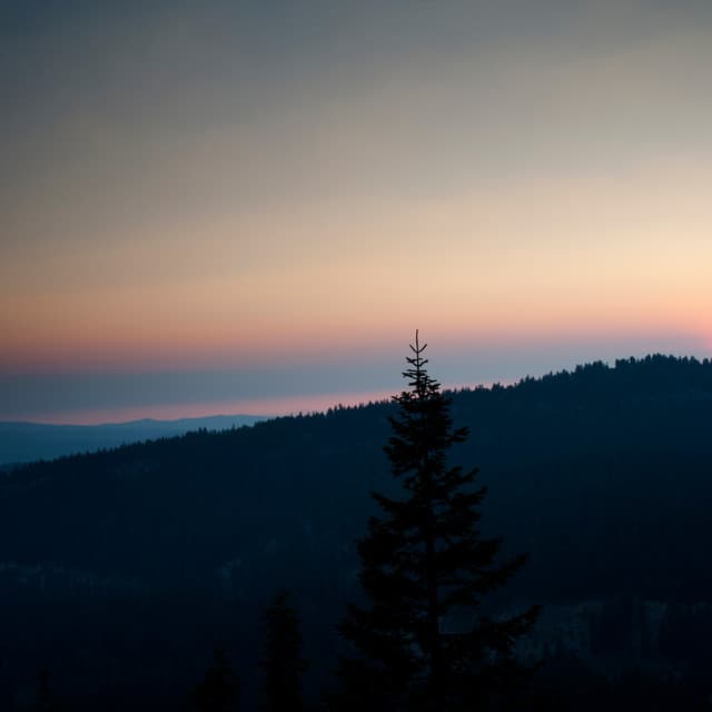 chilling in tranquility - Heavenly Realms