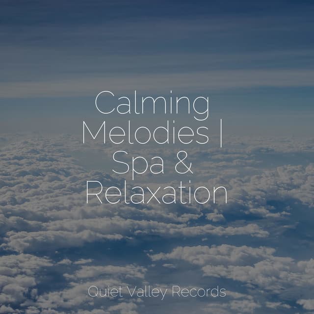 Calming Melodies | Spa & Relaxation - Relaxing Sounds Of Nature
