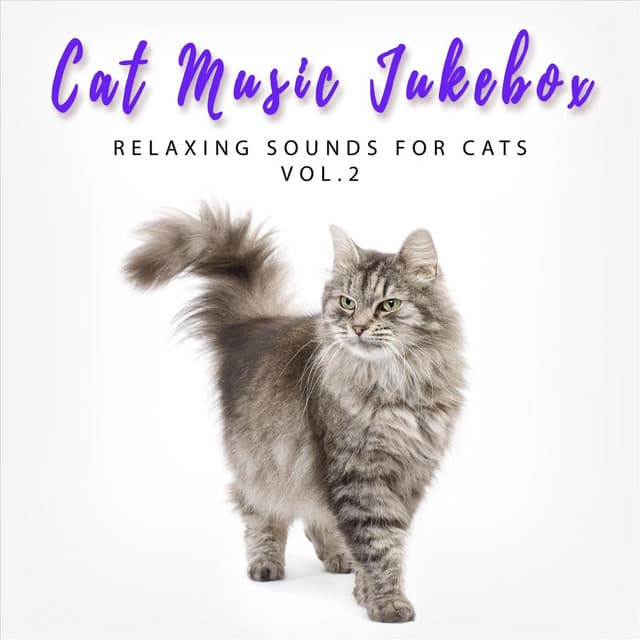 Relaxing Sounds for Cats, Vol. 2 - Cat Music Jukebox