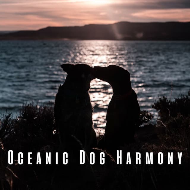 Oceanic Dog Harmony: Binaural Theta Waves for Total Bliss - 101 Nature