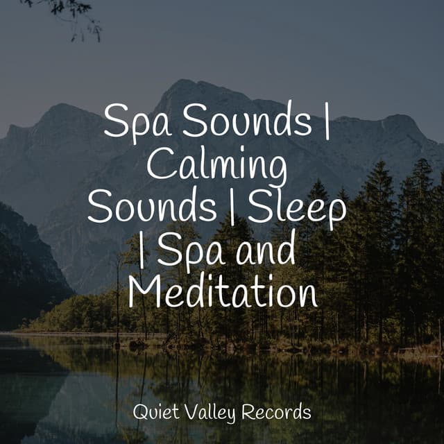 Spa Sounds | Calming Sounds | Sleep | Spa and Meditation - Musica para Massagem Especialistas