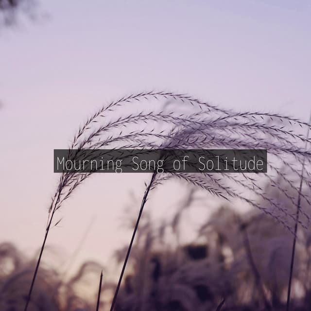 Mourning Song of Solitude - Minds United