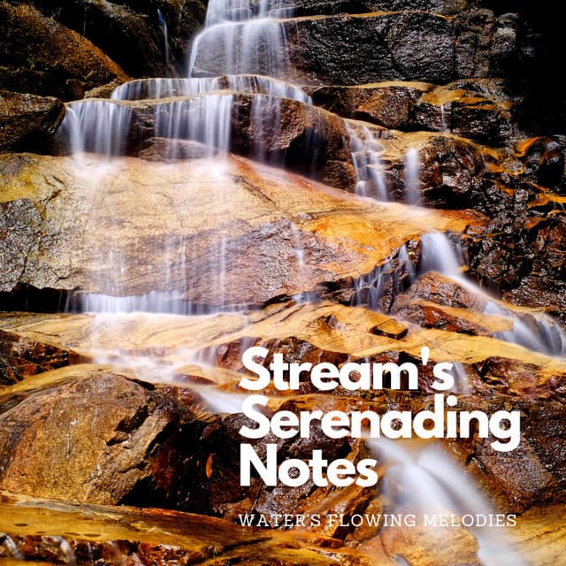 Stream's Serenading Notes: Water's Flowing Melodies - Serenity Music Academy