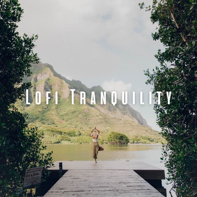 Lofi Tranquility: Soulful Melodies for Mindful Yoga - boardman
