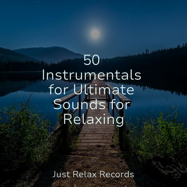 50 Instrumentals for Ultimate Sounds for Relaxing - Sonidos de la Naturaleza Relajacion