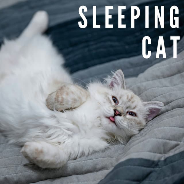 Calming Cat - The Cat Relaxer