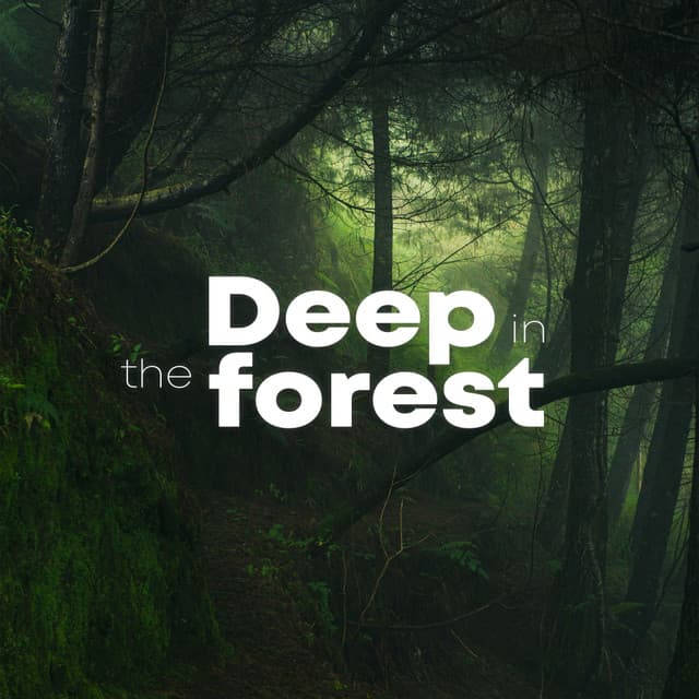 Deep In The Forest - Nature Sounds