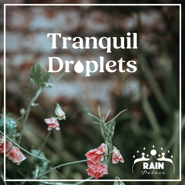 Tranquil Droplets - Rain Palace