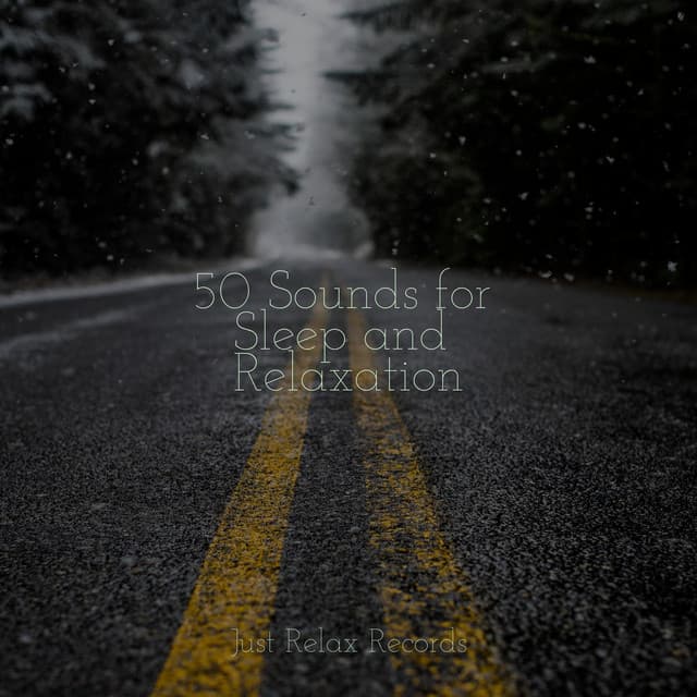 50 Sounds for Sleep and Relaxation - Relajación