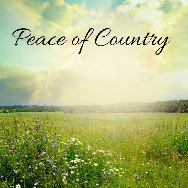 Peace of Country - Tight Chill Creator
