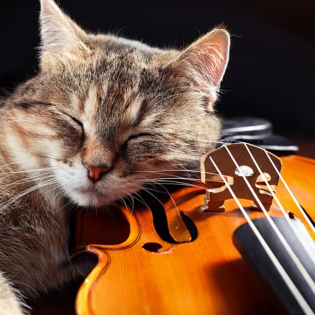 Orchestra Of Tender Moments: Music For Pets - Jason Humphries