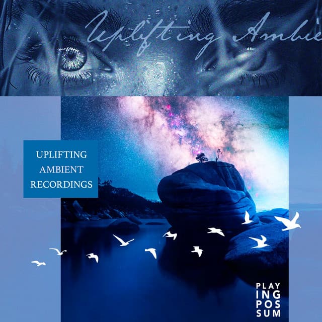 Uplifting Ambient Recordings - Playing Possum