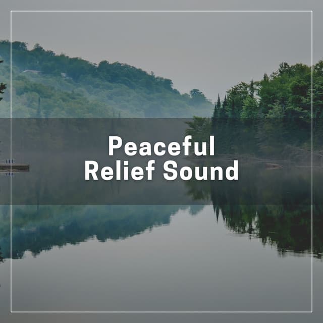 Peaceful Relief Sound - Solitude Beats