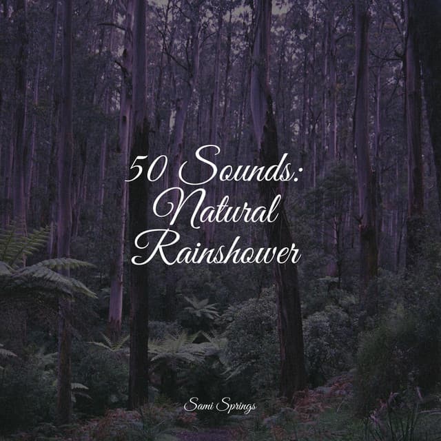 50 Sounds: Natural Rainshower - Study Zone