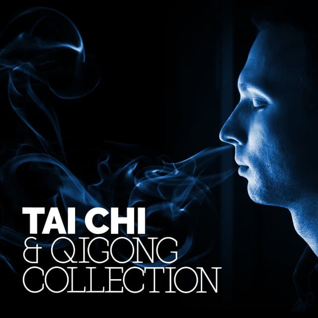 Tai Chi & Qigong Collection - Tai Chi And Qigong