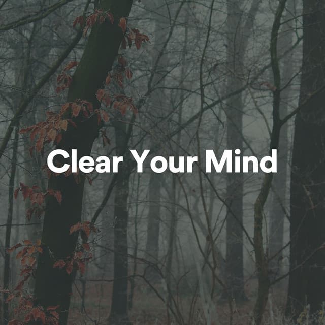 Clear Your Mind - Lullabies for Deep Meditation