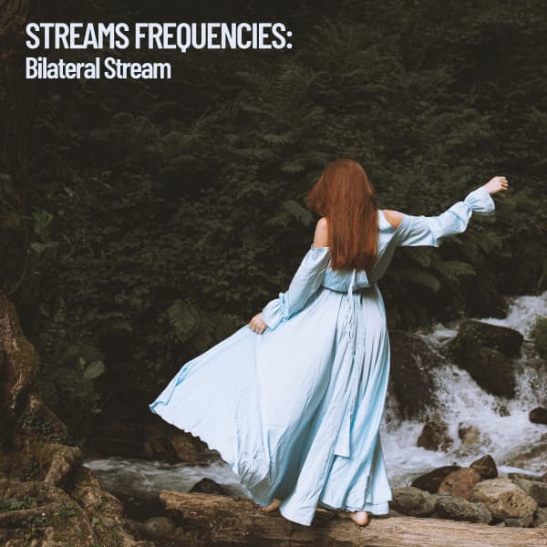 Stream Frequencies: Bilateral Stream - The Nature Soundscapes