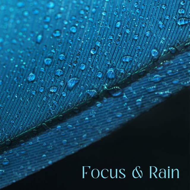 Focus & Rain: Music to Help You Study for Exams - Zen Exam Experts