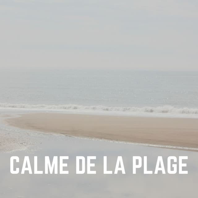 Calme de LA Plage - Vagues Dans La Mer