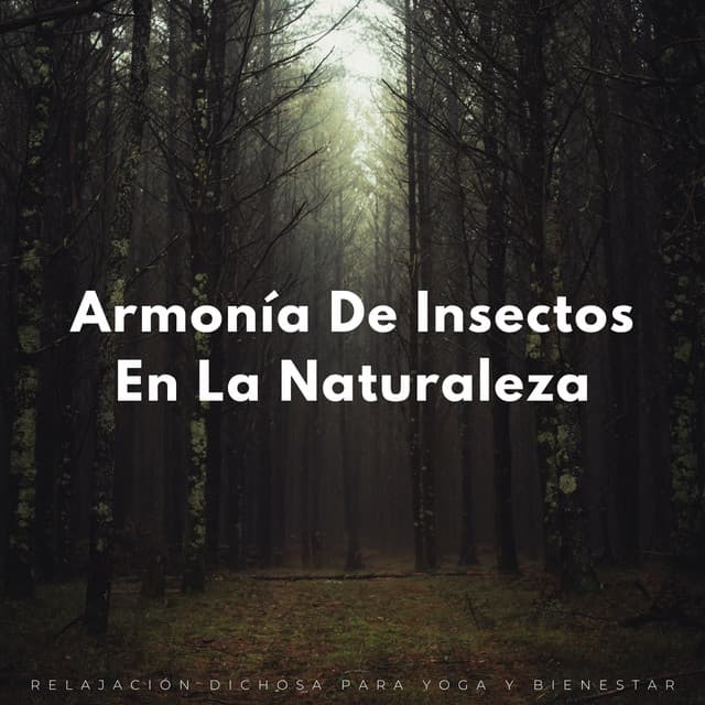 Armonía De Insectos En La Naturaleza: Relajación Dichosa Para Yoga Y Bienestar - Televisión de la naturaleza