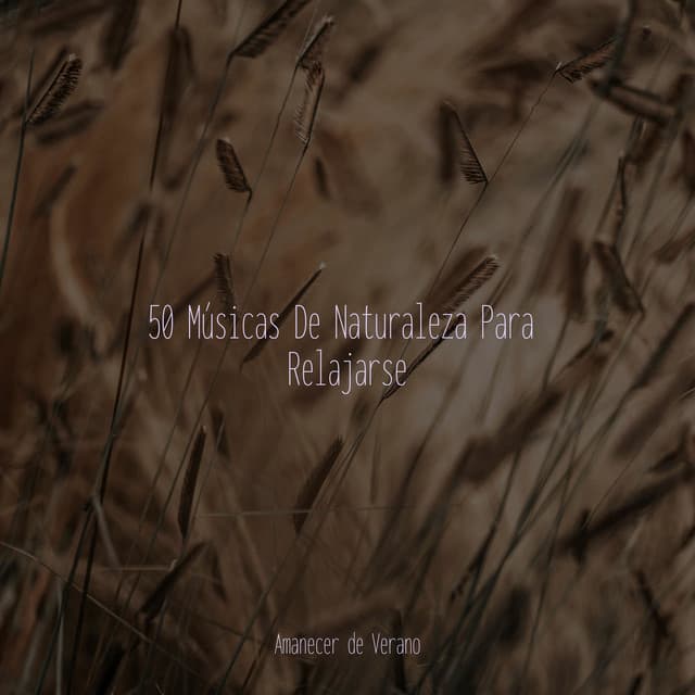 50 Músicas De Naturaleza Para Relajarse - Academia de Música con Sonidos de la Naturaleza