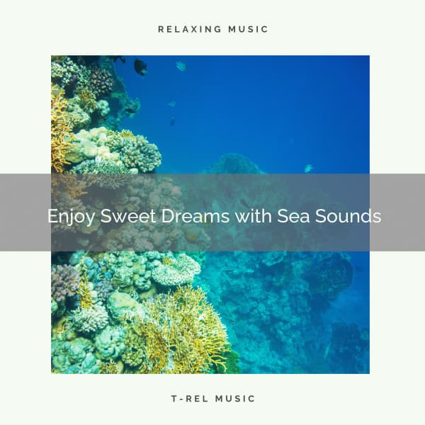 ! ! ! ! ! ! Enjoy Sweet Dreams with Sea Sounds - Calm Sea Sounds