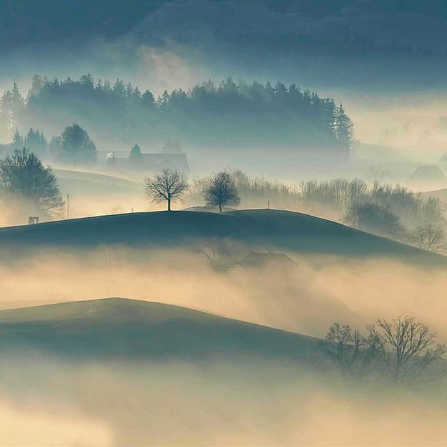 50 White Noise For Nightime: Nightime Therapy - White Noise Therapy