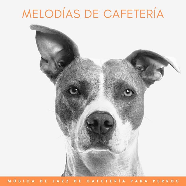 Melodías De Cafetería: Música De Jazz De Cafetería Para Perros - Jazz clásico tranquilo