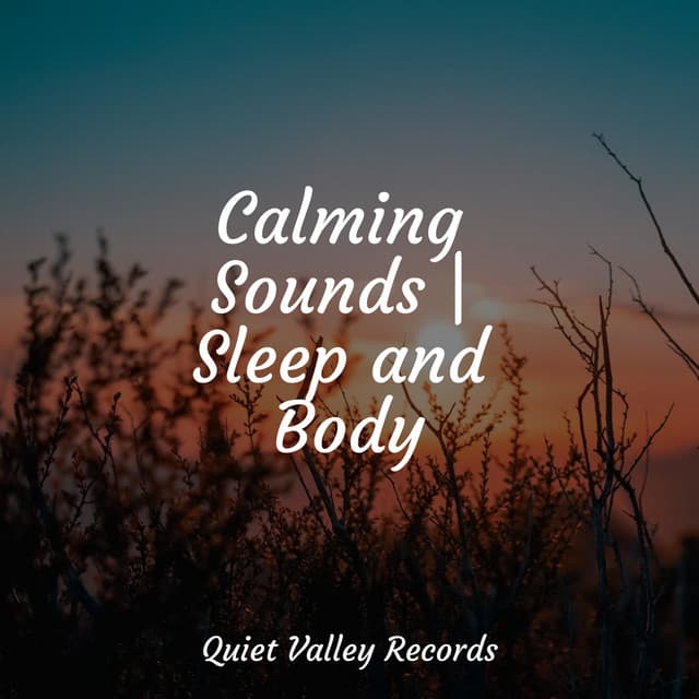 Calming Sounds | Sleep and Body - Sonido de lluvia