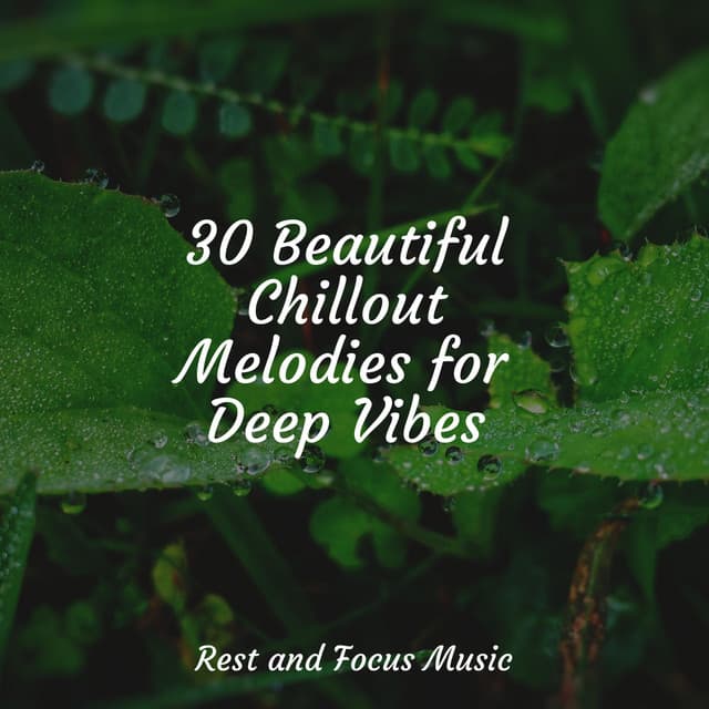 30 Beautiful Chillout Melodies for Deep Vibes - Bath Spa Relaxing Music Zone
