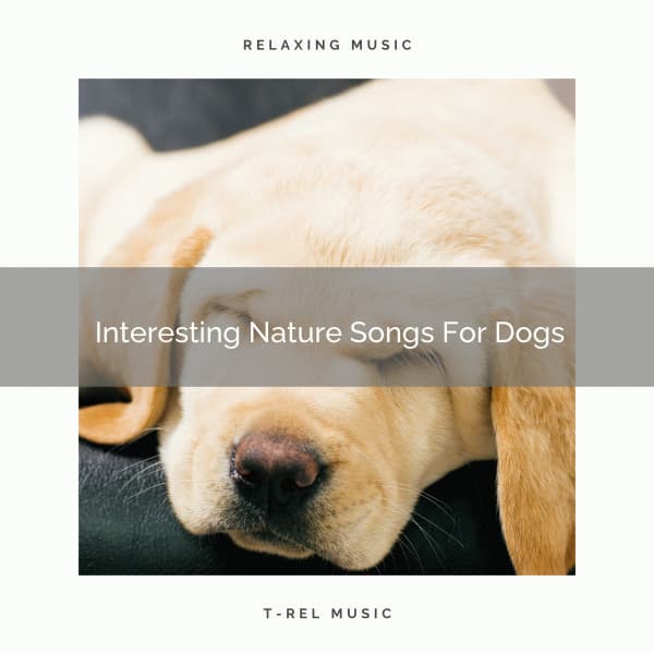 Interesting Nature Songs For Dogs - Pets Total Relax