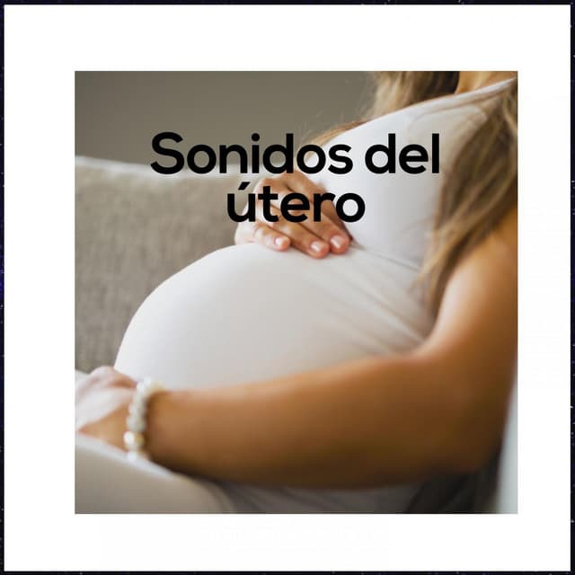 Sonidos del útero - Prince Sereno
