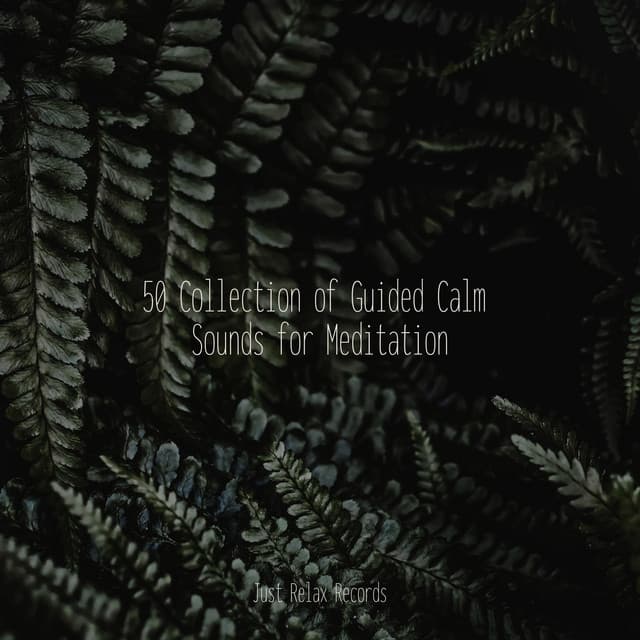 50 Collection of Guided Calm Sounds for Meditation - Schlaflieder Für Kinder