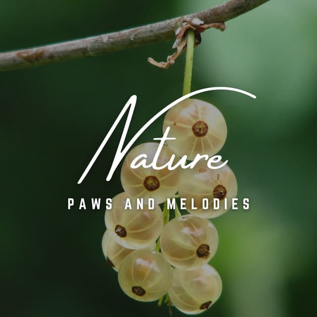 Paws and Melodies: Sonic Journeys for Canine Companions - Doggy Doo-Wop