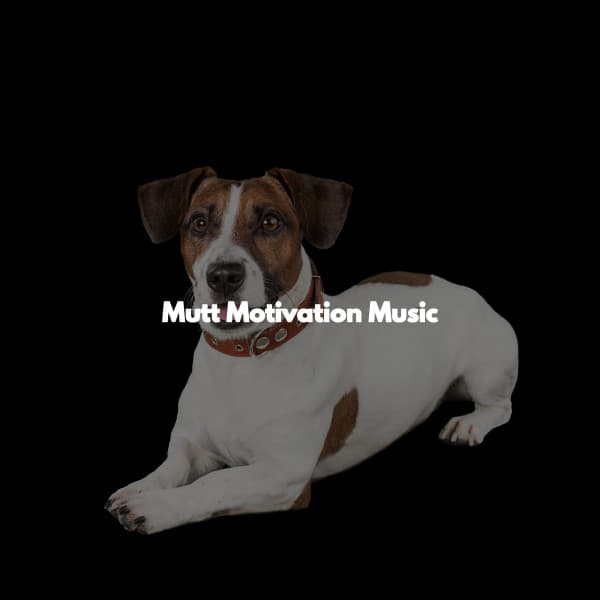 Mutt Motivation Music - Morning Brunch Music