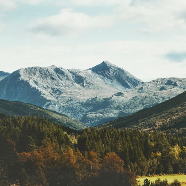 Musica Para Dormir - Música De Relajación Para Dormir Profundamente