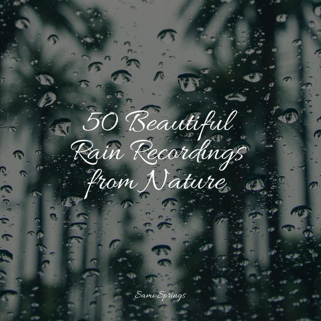 50 Beautiful Rain Recordings from Nature - Naturaleza Sonidos