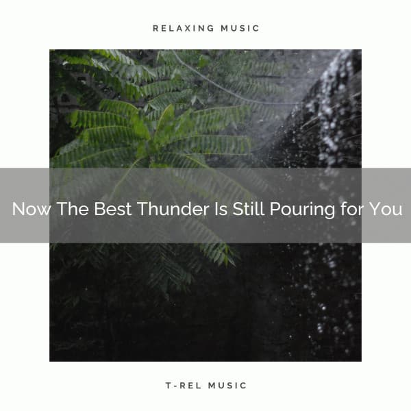 2020 Best: Now The Best Thunder Is Still Pouring for You - Rain Sleepings Sounds