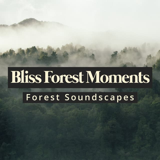 Bliss Forest Moments - Forest Soundscapes