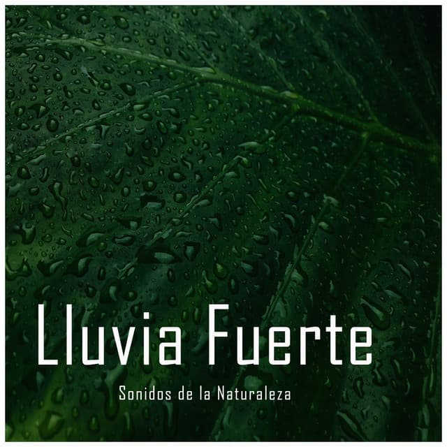 Sonidos de la Naturaleza: Lluvia Fuerte - Rain Recordings