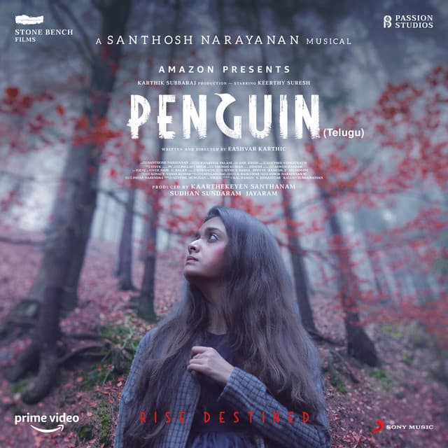 Penguin - Santhosh Narayanan