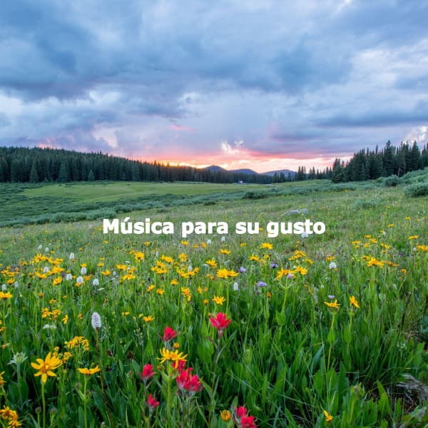 Música para su gusto - Cool Jazz Relaxation