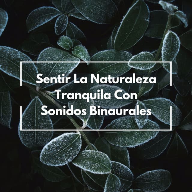 Sentir La Naturaleza Tranquila Con Sonidos Binaurales - Bob binaural