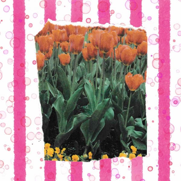 Music for Getting Better - Lively Jazz-hop - Relaxing Lo Fi