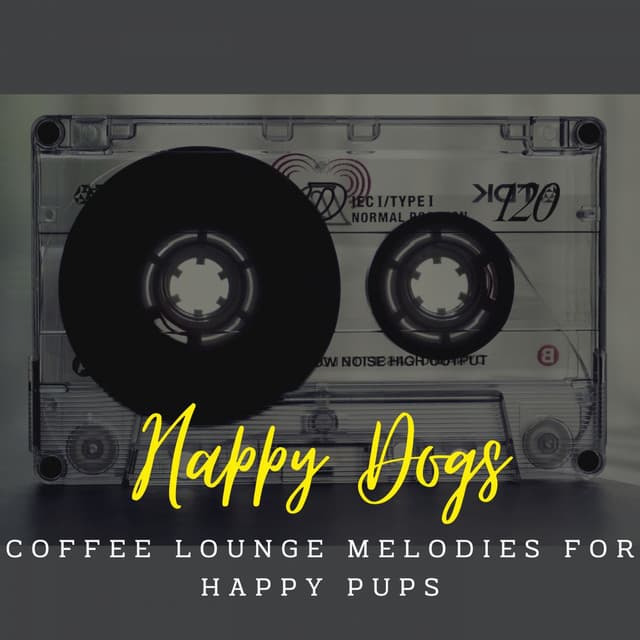 Jazz Tail Wag Serenades: Coffee Lounge Melodies for Happy Pups - Tuesday Morning Jazz Playlist