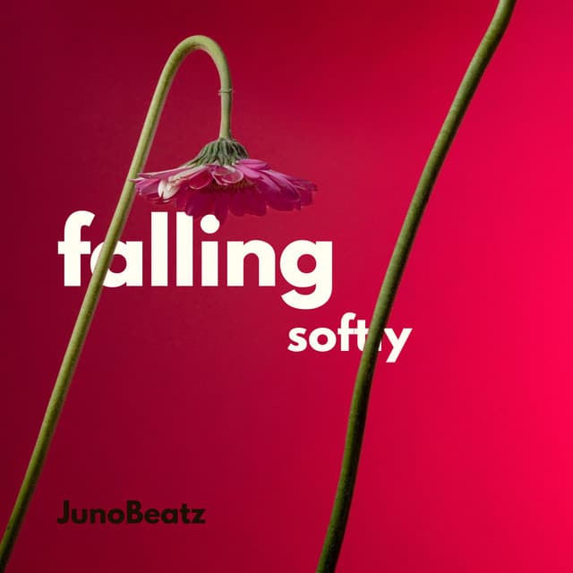 JunoBeatz