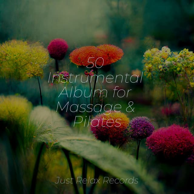 50 Instrumental Album for Massage & Pilates - Música Zen Relaxante