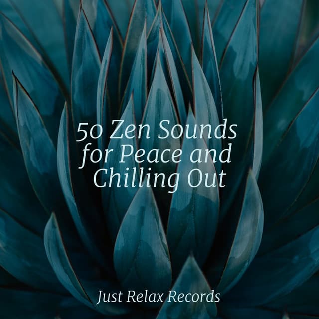 50 Zen Sounds for Peace and Chilling Out - Instrumental