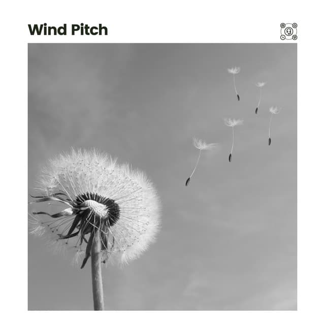 Wind Pitch - Relaxing Cabin Noise