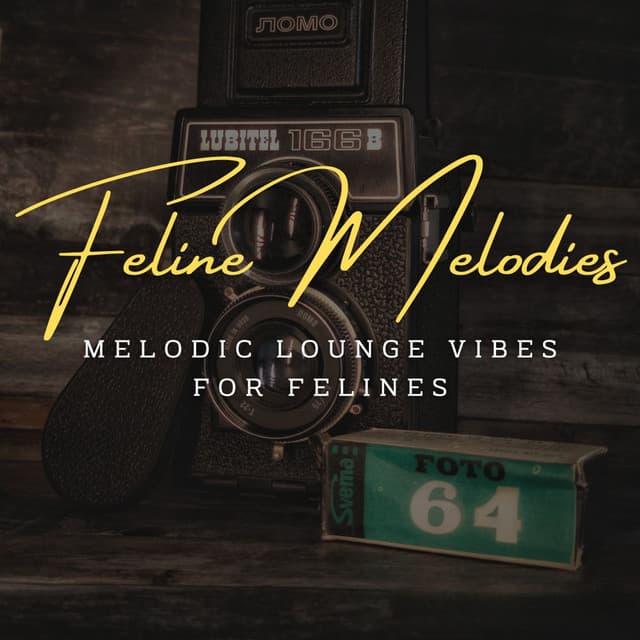 Feline Melodies: Coffee Lounge Jazz for Curious Cats - Joyce Trio
